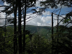  64 - View From Little East Fork Trail
