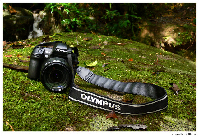 Product shot - Olympus E-3 Zuiko Digital ED 12-60mm f/2.8-4.0