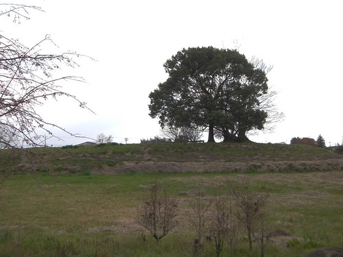 纒向石塚古墳/Makimuku-Ishizuka Burial Mound