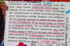 Text details (Copyright Hanna Andersson])