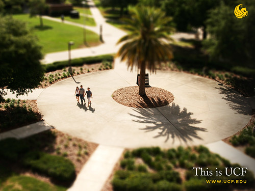 1600x1200 wallpaper. Campus Circle 1600x1200 Wallpaper. This wallpaper can be downloaded at the UCF Photofile