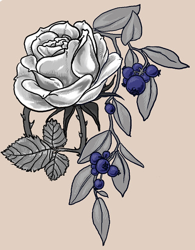 rose tattoo design. Blueberry Rose Tattoo drawing