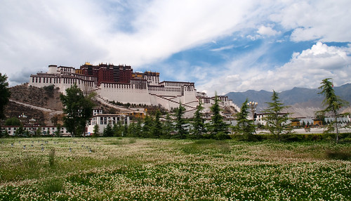 Lhasa 37