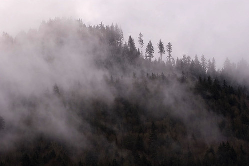 Fog covered hill, Nooksack river
