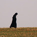 Amish woman in field
