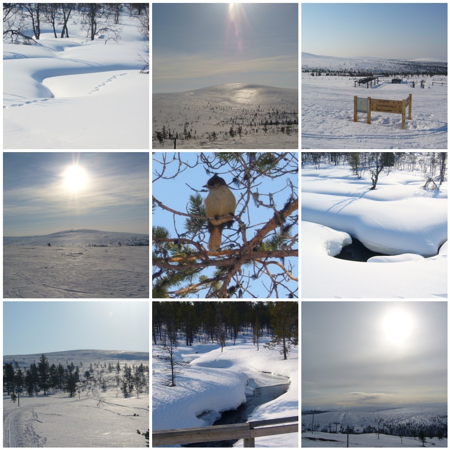 Lapland 2007