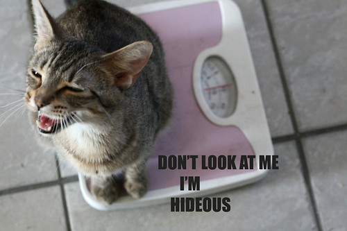 don't look at me I'm hideous