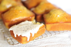 Lemon Poppyseed Yoghurt Mini-Loaf Cakes - Icing and Nom-ing Simultaneously