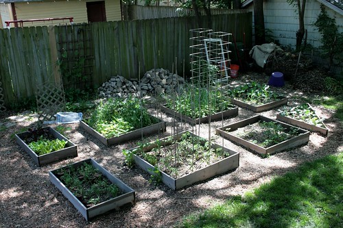 Vegetable Garden, May 2009