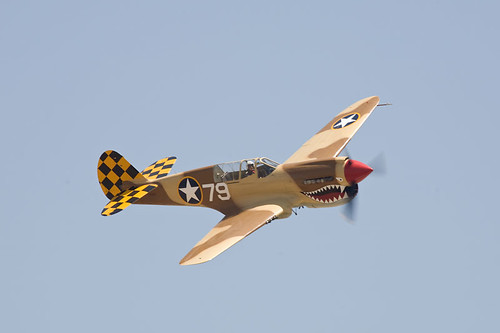 Warbird picture - P-40 Warhawk