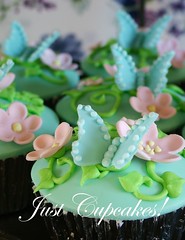Floral Whimsy Cupcakes by Just Cupcakes!