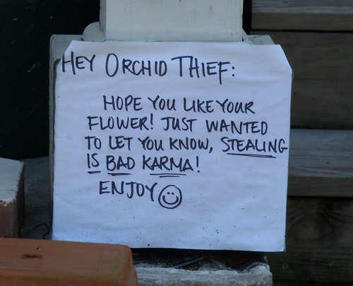 Hey Orchid Thief: Hope you like your flower! Just wanted to let you know stealing is bad karma! Enjoy : )