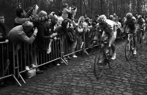 Riders in the 2009 Paris-Roubaix enter the feared Arenberg Forest. Photo: Walter Bendix Schönflies