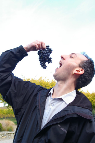 Loren and the Syrah grapes - murdoch james