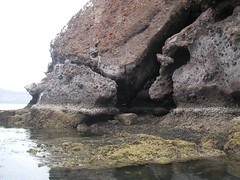 El Burro Cove