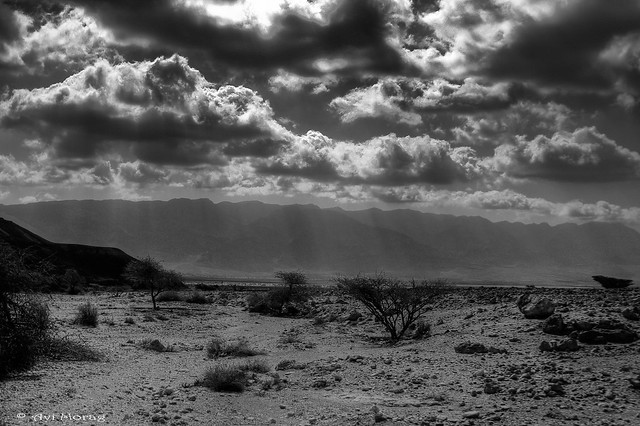 Desert View 3 - Eilat Mountains