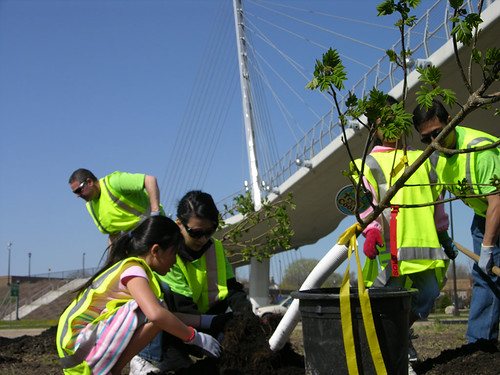 2011 Arbor Day Greenway planting prep work