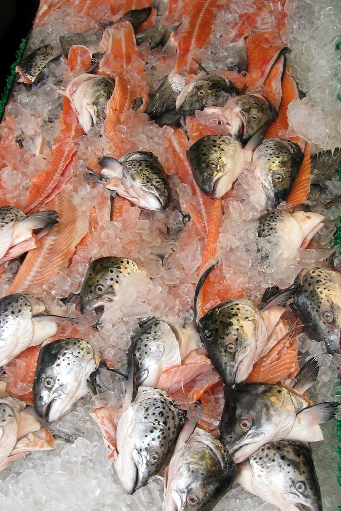 Salmon heads in a commercial fish market (A. Kotok)