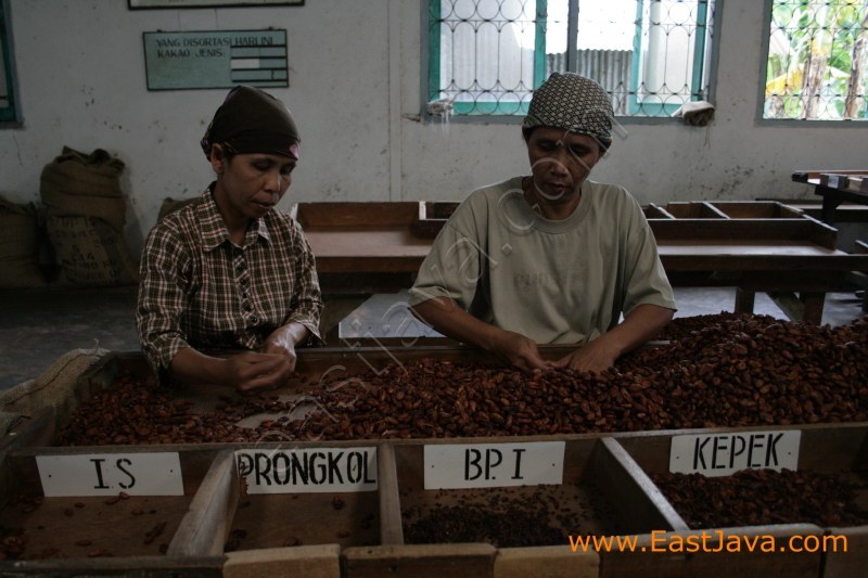 Ngrangkah Pawon Coffee Industry - Kediri