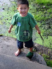 Owen fell in the pond