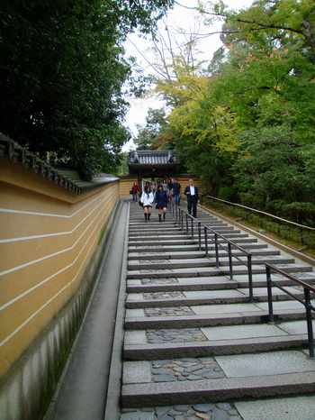 京都金閣寺-19