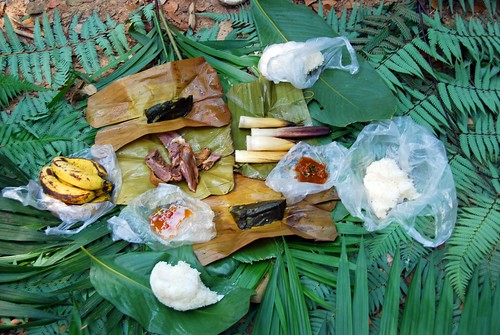 our lunch spread, luang nam tha