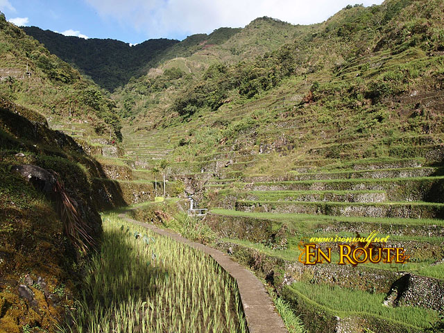 The first rice terraces to pass at the back of Batad Trail