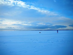 Winter at Lake Vänern in Sweden #2
