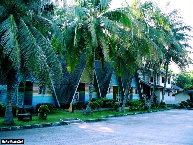 pokok-kelapa-menghiasi-resort