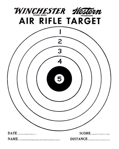 target. Air Rifle Shot Target