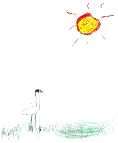 Sandhill Crane by JD Boy (age 6)