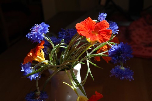 Flowers from my garden