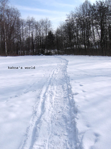 snow ©  kakna's world