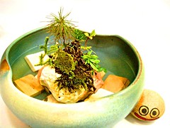 Iyo bonsai pot[伊予鉢]-04