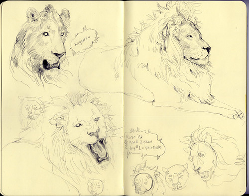 pictures of lions to draw. learning to draw lions