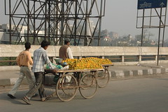 On the road from Delhi to Agra-4