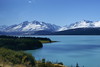 NZの氷河湖、プカキ湖周辺デス
