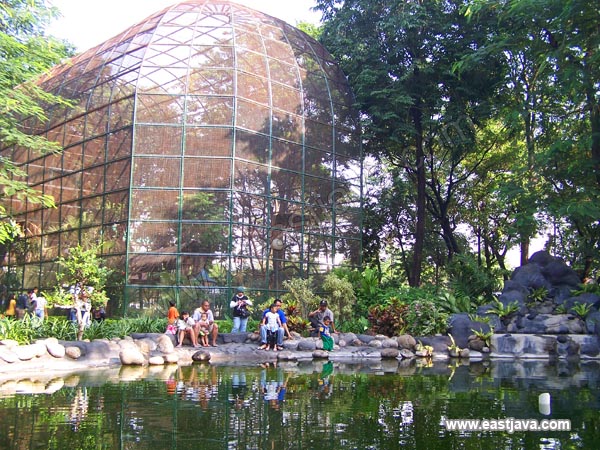kebun Bibit Park - Surabaya