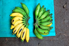Bananaz.