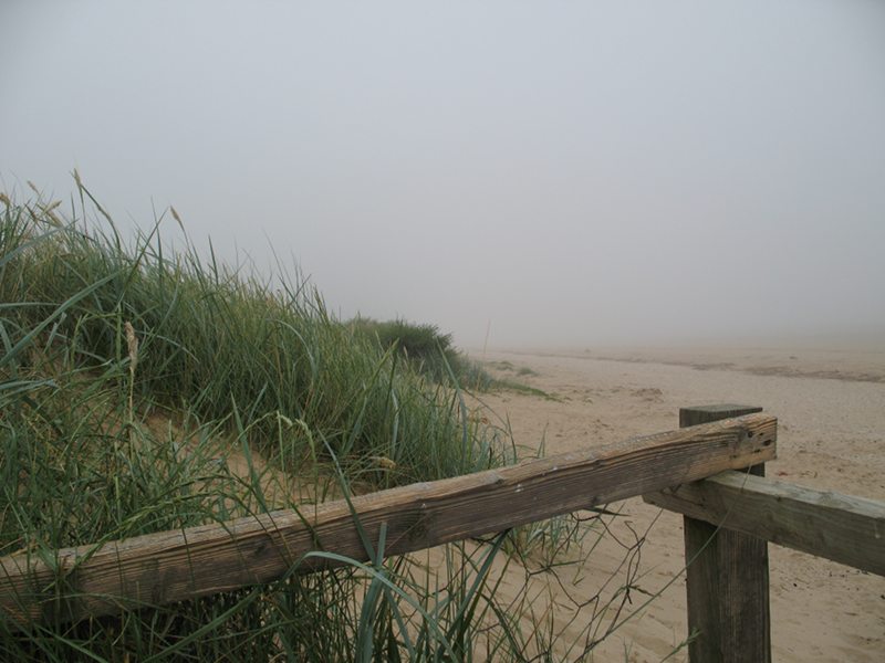 Titchwell in the fog