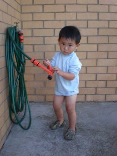 Inspecting the garden hose