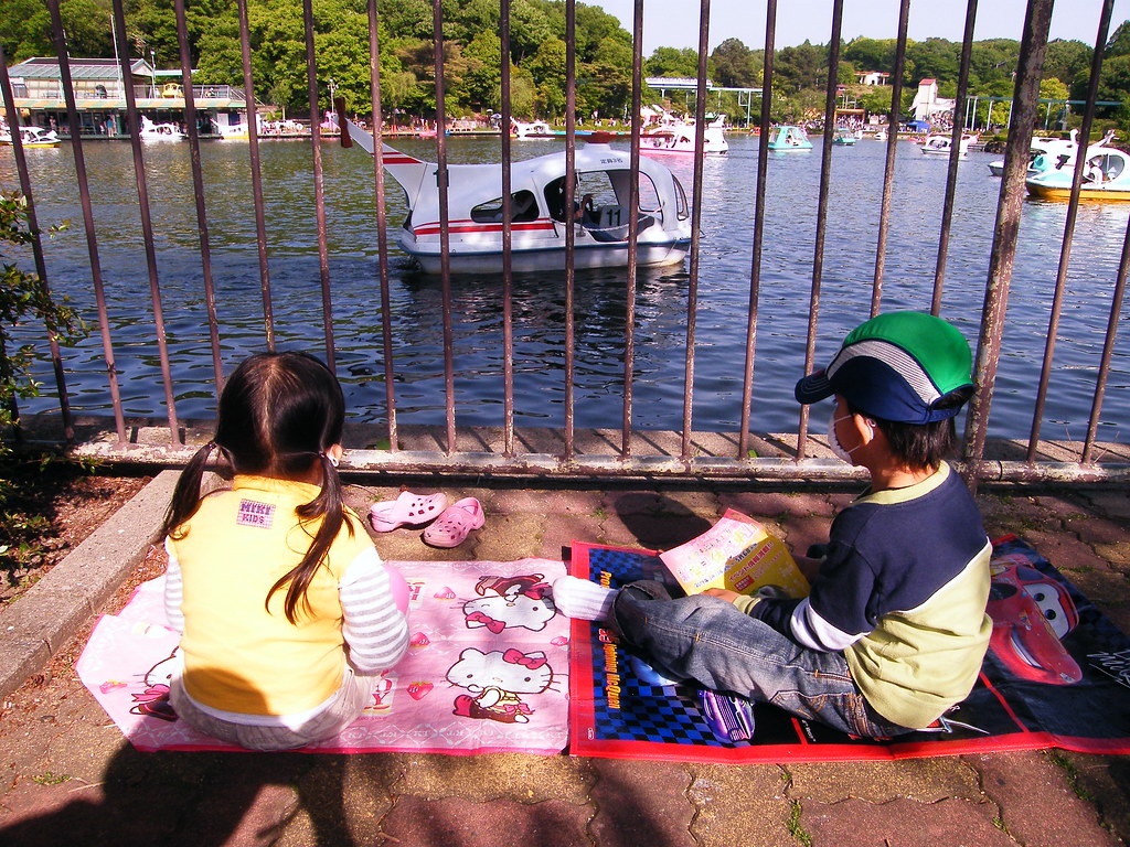 picnic by the lake