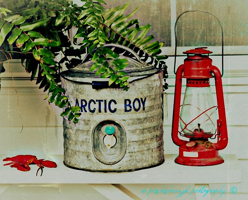 Arctic Boy by DiPics