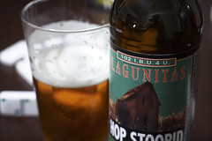 52 Beers Group, Week 31: Lagunitas Hop Stoopid Ale