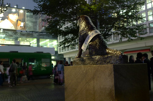 Hachiko statue at night