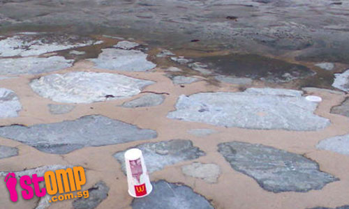  Patrons of nearby McDonald's leave a mess in West Coast Park
