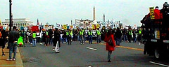 Marching Crowd2