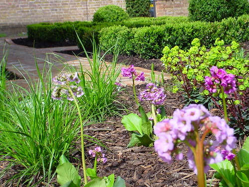Landscaping Prestbury - Formal Garden  Image 34
