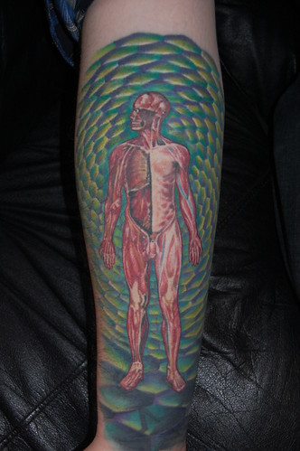 anatomy tattoo
