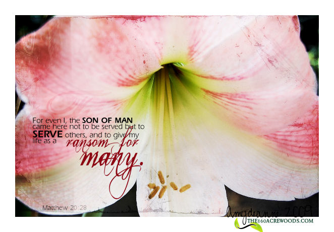 only the beautiful word of our Father through photo's a Bible verse